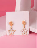 Accessories earrings